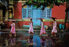 انواع زیبایی شناسی و نظریات زیبایی شناسی (با عکس و نکات)