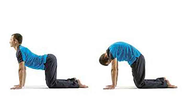 گربه-گاو (Cat-Cow Pose)